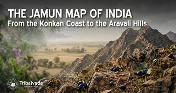 The Jamun Map of India: From the Konkan Coast to the Aravali Hills.