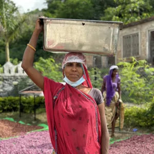Tribalveda community impact